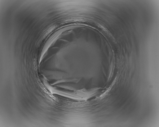 X0000059230977200511111544