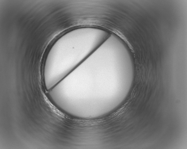 X0000059230980200511111544