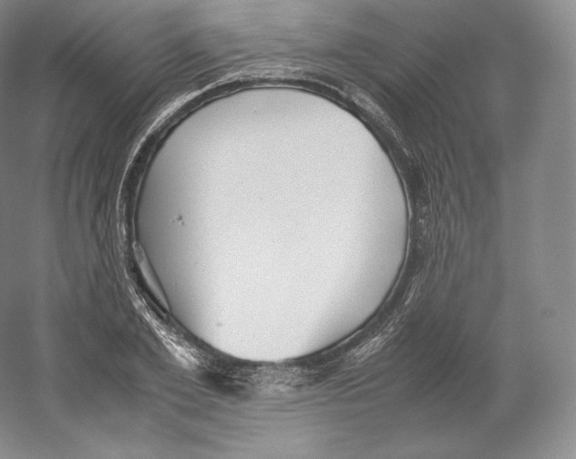 X0000059230981200511111544