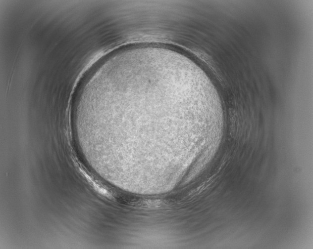 X0000059230982200511111544