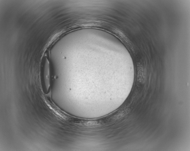 X0000059230986200511111544