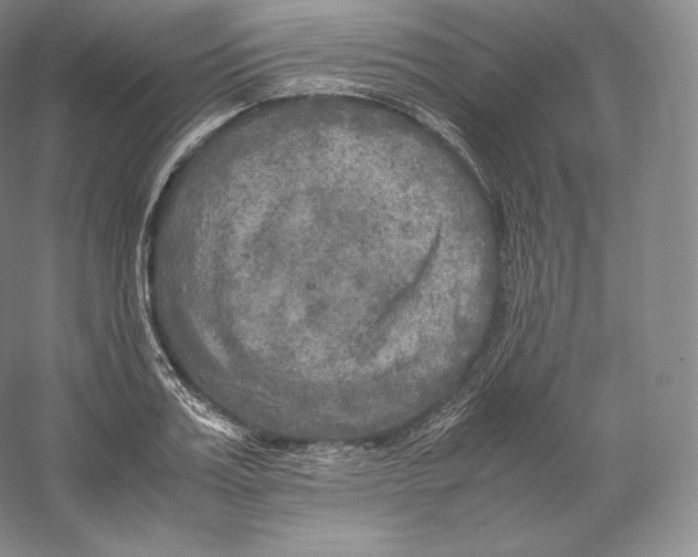 X0000059230987200511111544