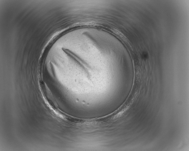 X0000059230989200511111544