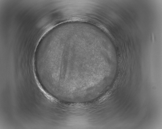 X0000059230991200511111544