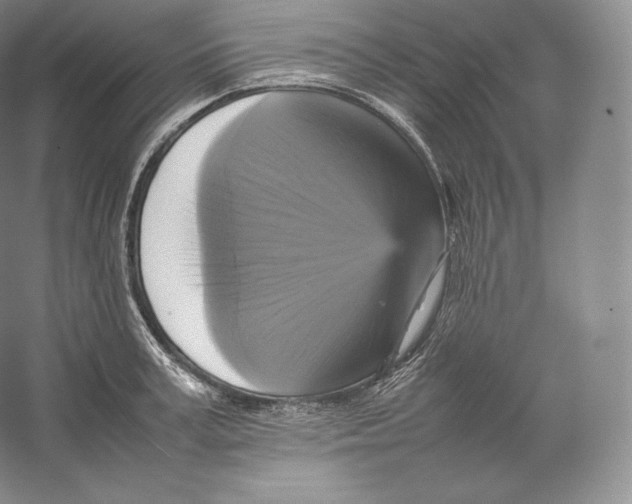 X0000059230995200511111544