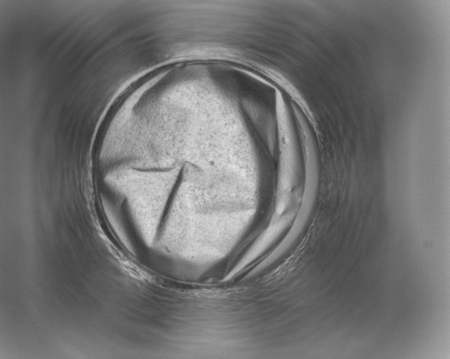 X0000059230996200511111543