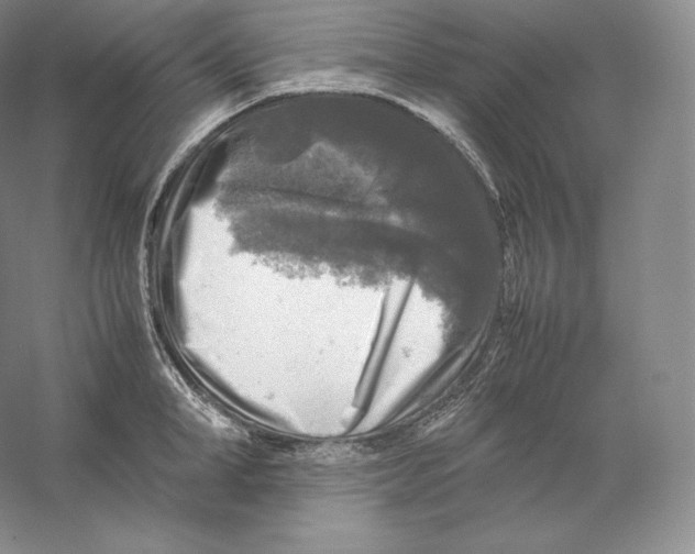 X0000059230998200511111543