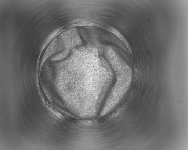 X0000059231002200511111543