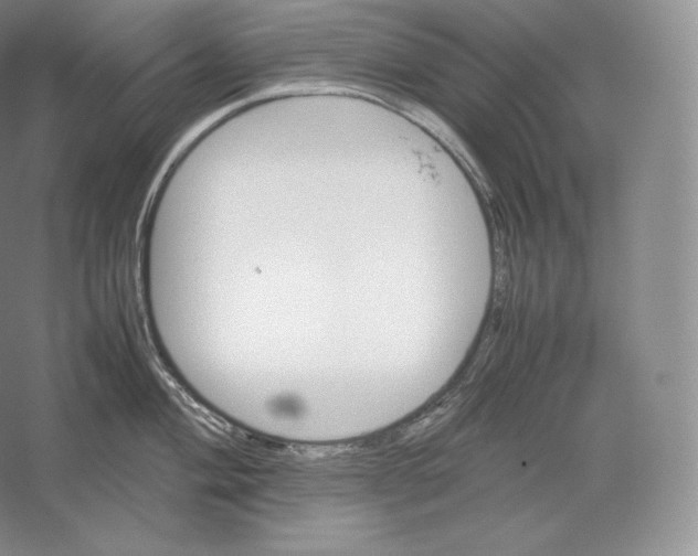 X0000059231004200511111543