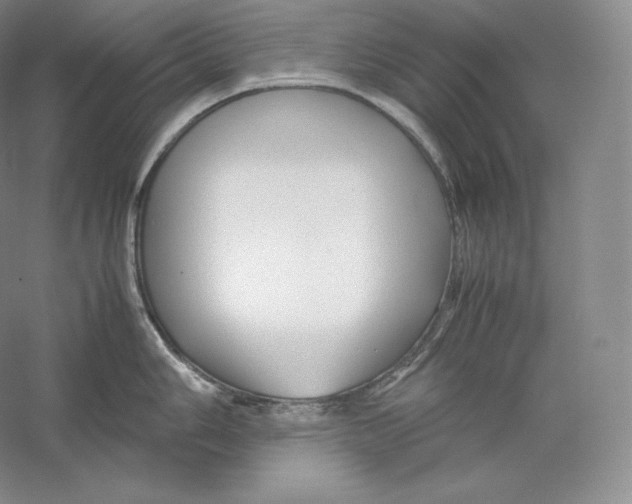 X0000059231006200511111543