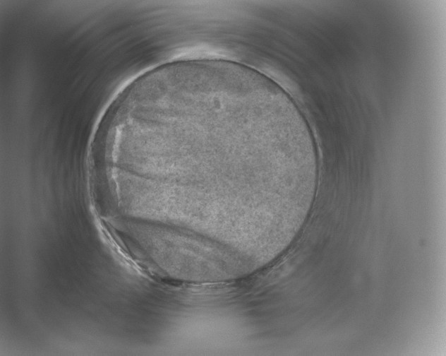 X0000059231008200511111543