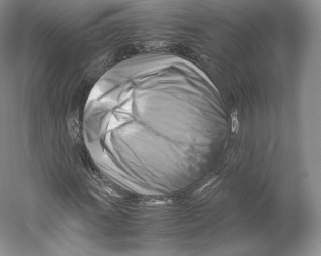 X0000059231011200511111543