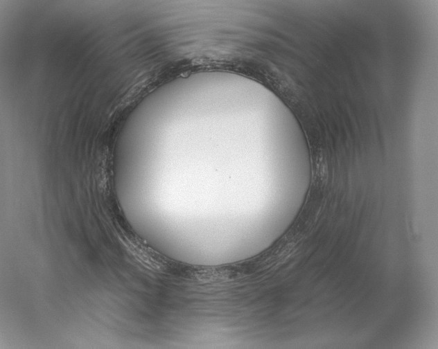 X0000059231012200511111543