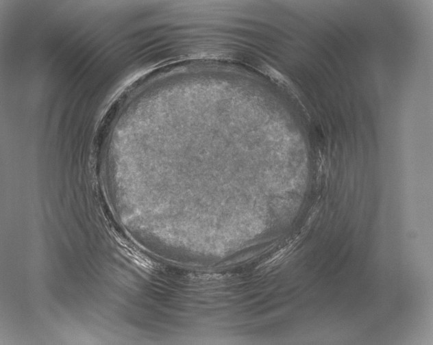 X0000059231019200511111543