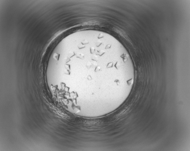 X0000059231021200511111543