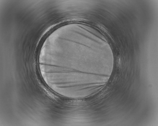 X0000059231024200511111543