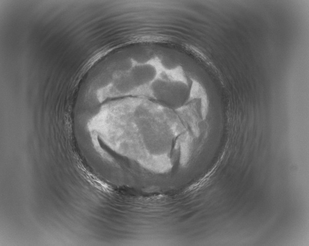 X0000059231025200511111543