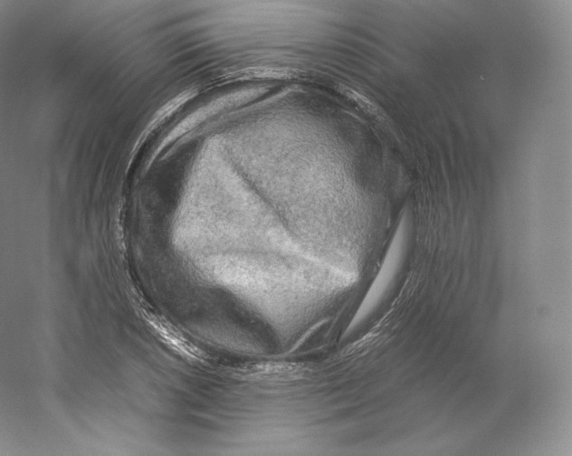 X0000059231026200511111543