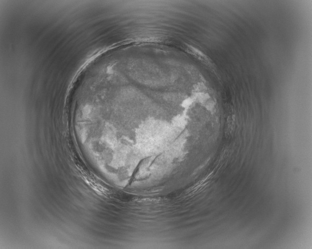 X0000059231027200511111543