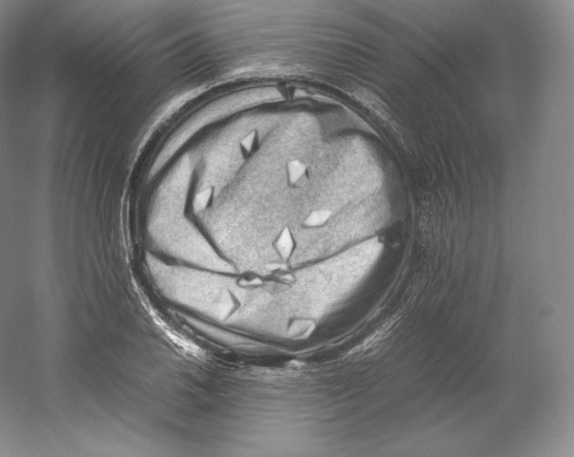 X0000059231030200511111543