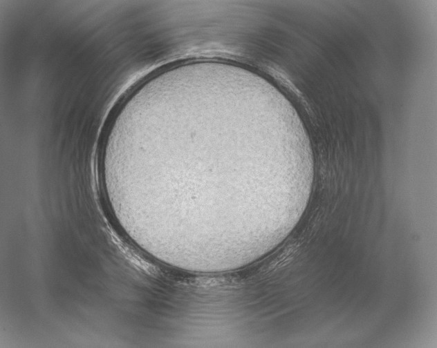 X0000059231032200511111543