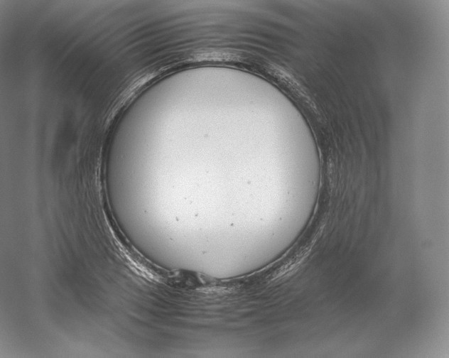 X0000059231033200511111543