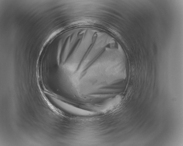 X0000059231034200511111543