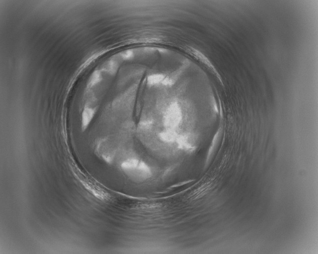 X0000059231035200511111543