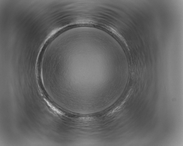 X0000059231037200511111543