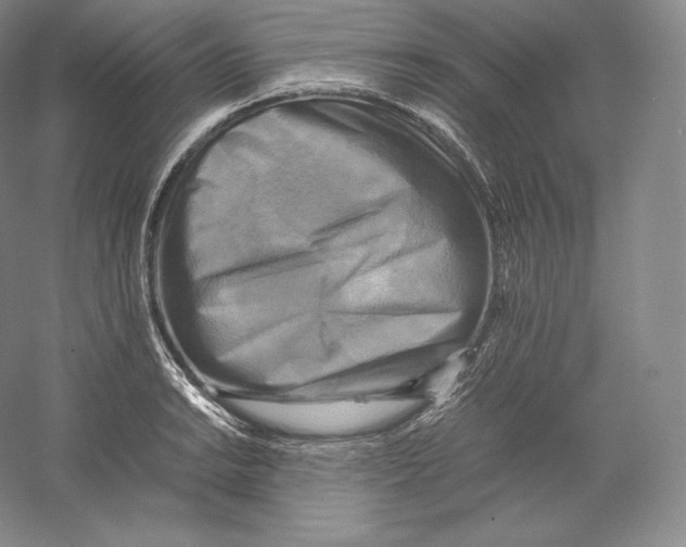 X0000059231038200511111543