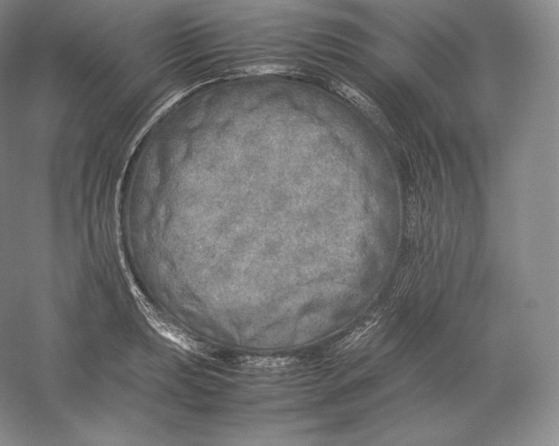 X0000059231039200511111543