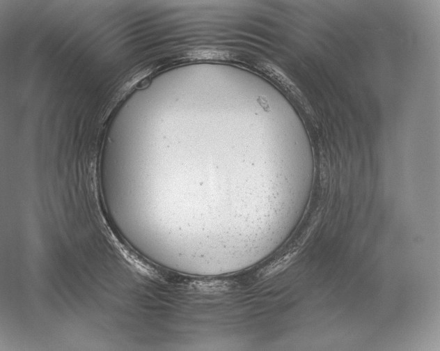 X0000059231041200511111543