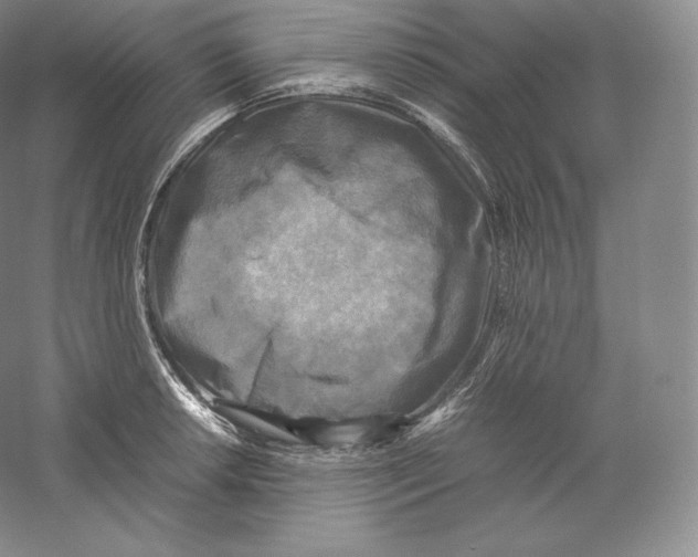 X0000059231042200511111543