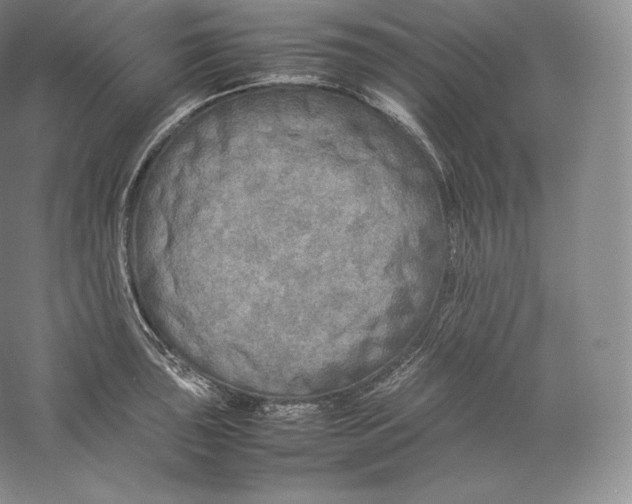 X0000059231043200511111543