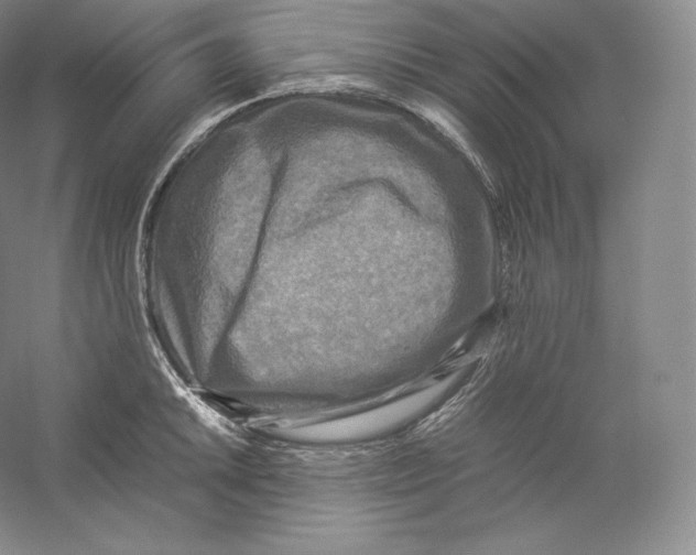 X0000059231046200511111543