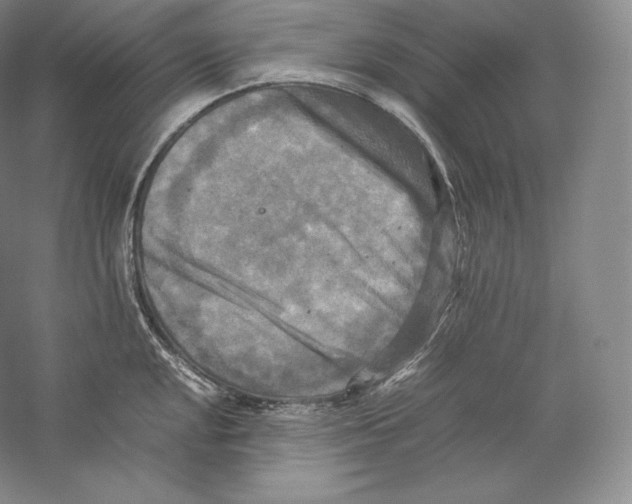 X0000059231048200511111543