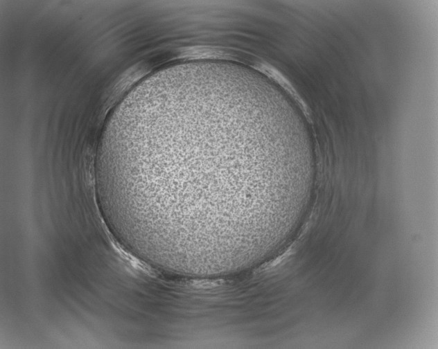 X0000059231049200511111543