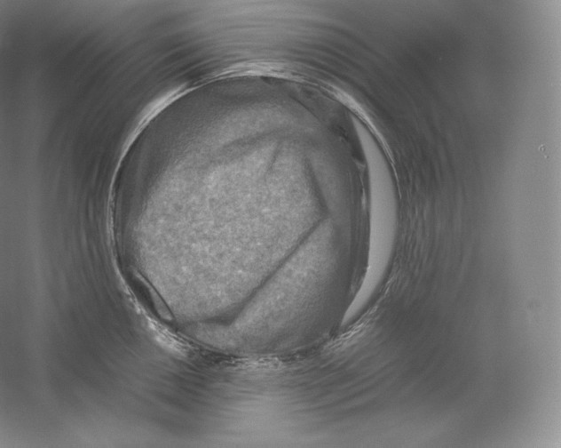 X0000059231050200511111543