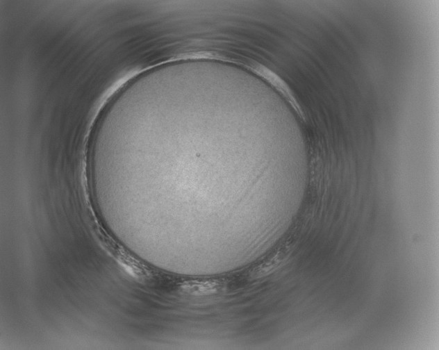 X0000059231051200511111543