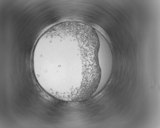 X0000059231052200511111543