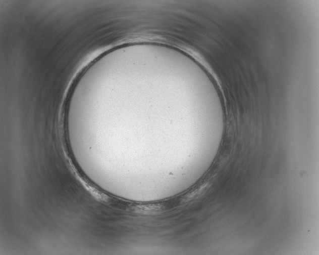 X0000059231053200511111543