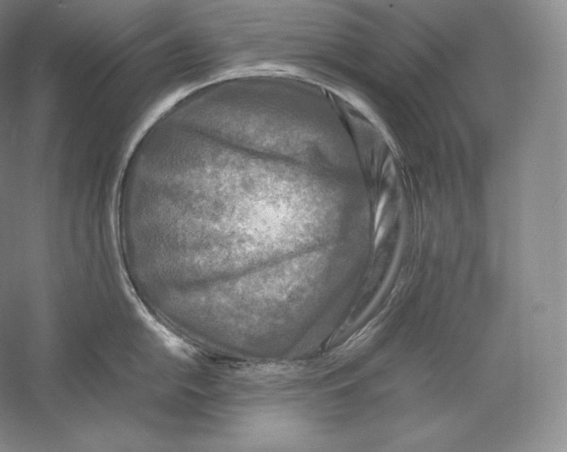 X0000059231054200511111543