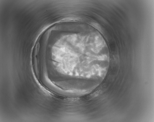 X0000059231055200511111543