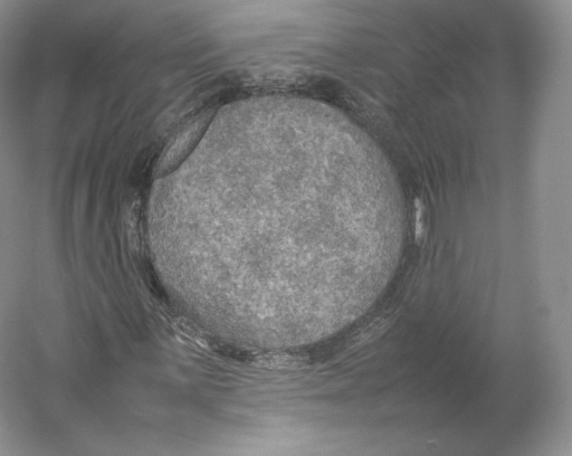 X0000059231059200511111542