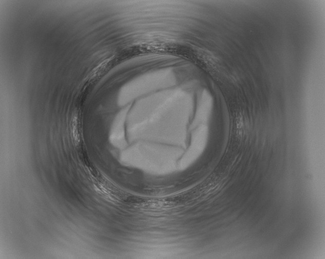 X0000059231060200511111542