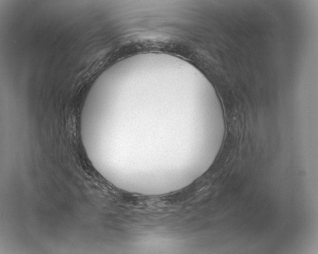 X0000059231061200511111542