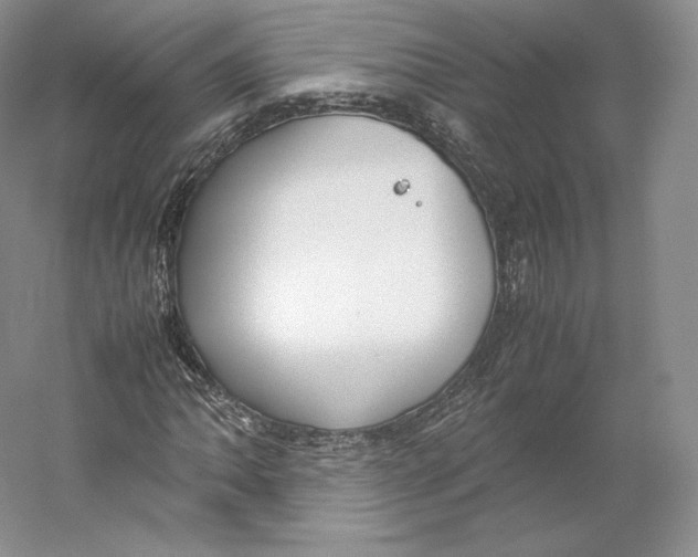 X0000059231062200511111542