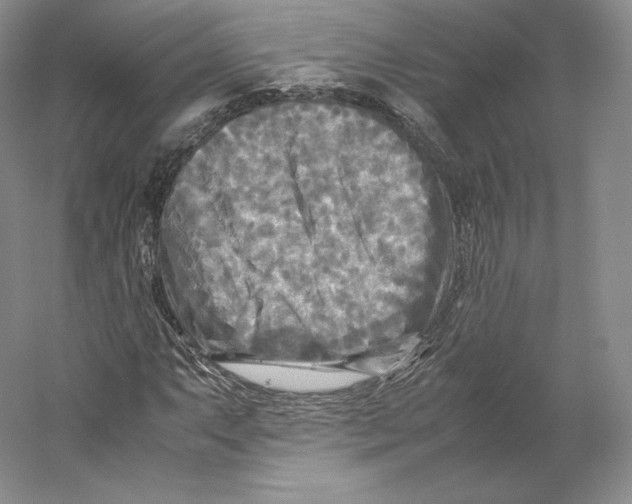 X0000059231063200511111542