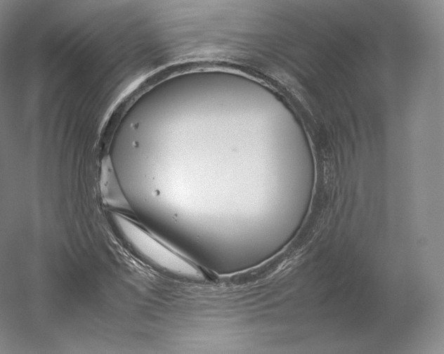 X0000059231069200511111542