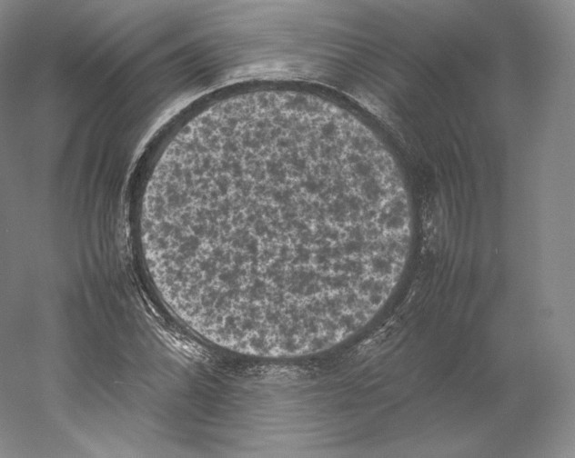 X0000059231070200511111542